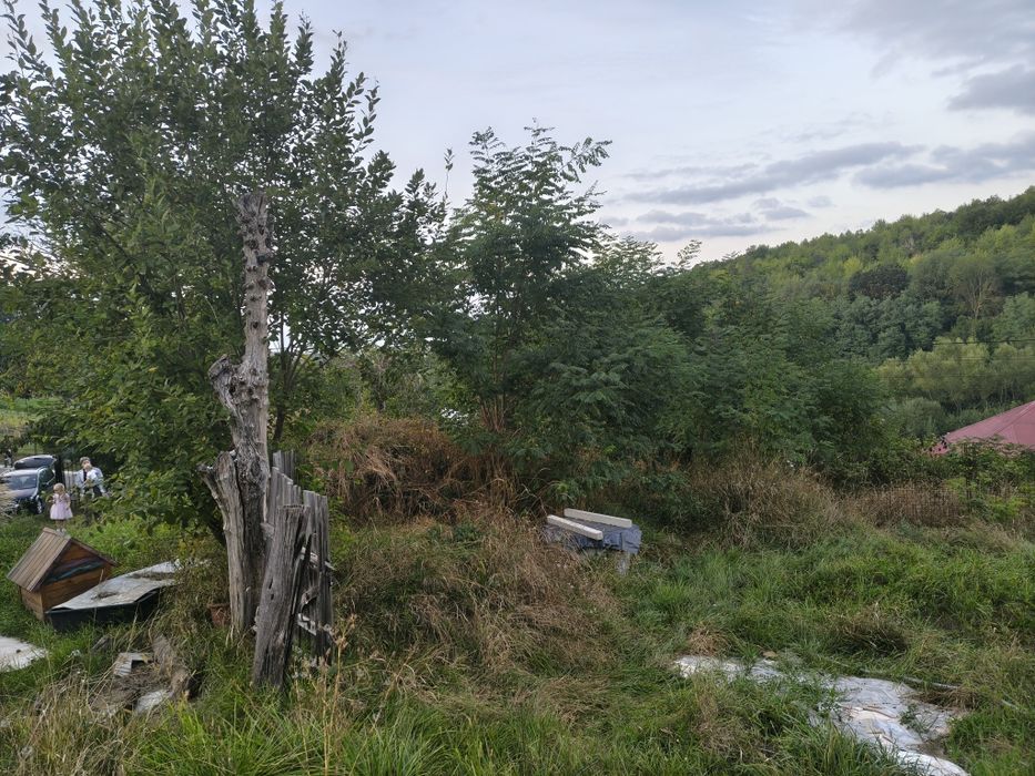 Vând casă bătrânească Leontinesti  jud Bacău locuibila și teren de 5000 m , cu livada și vie