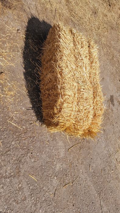 Солома сухая солома