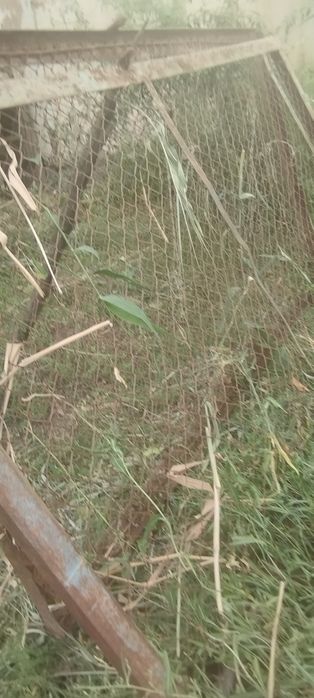 Продажа сетки для курей