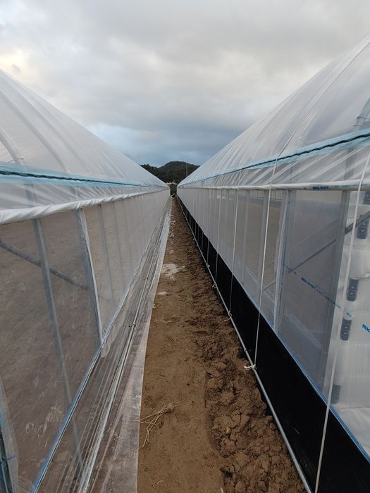 Карейская теплица