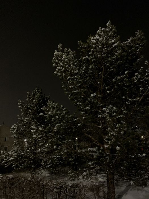 Голда стандофф 2