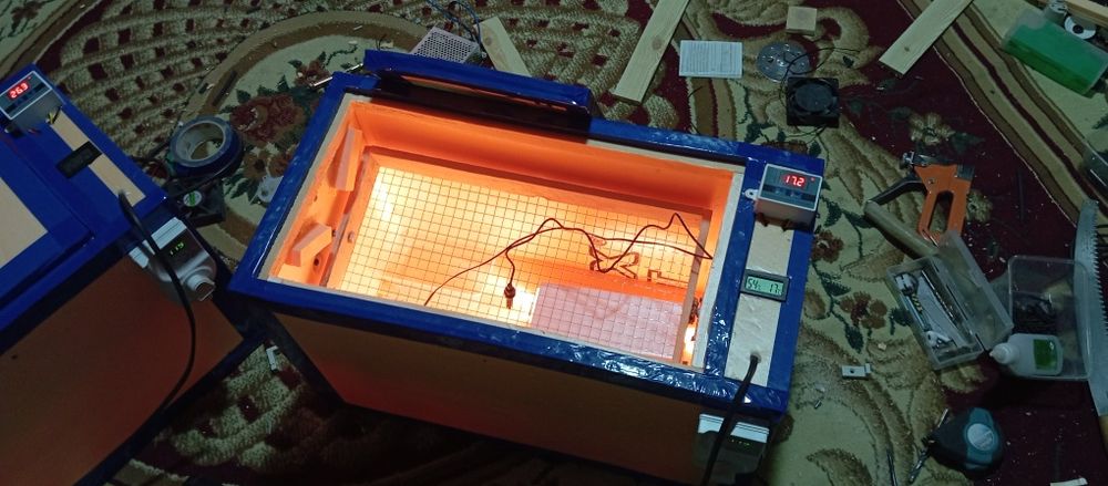 Inkubator inkubatir 50talik