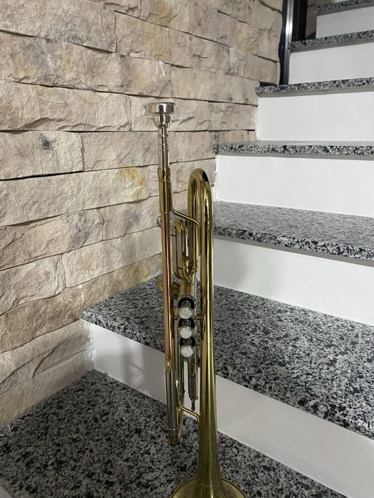 Vand sau schimb trompeta cu saxofon!