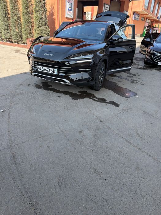 Byd chempion gibrid 150