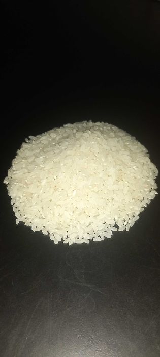 Mushukning porno videosi