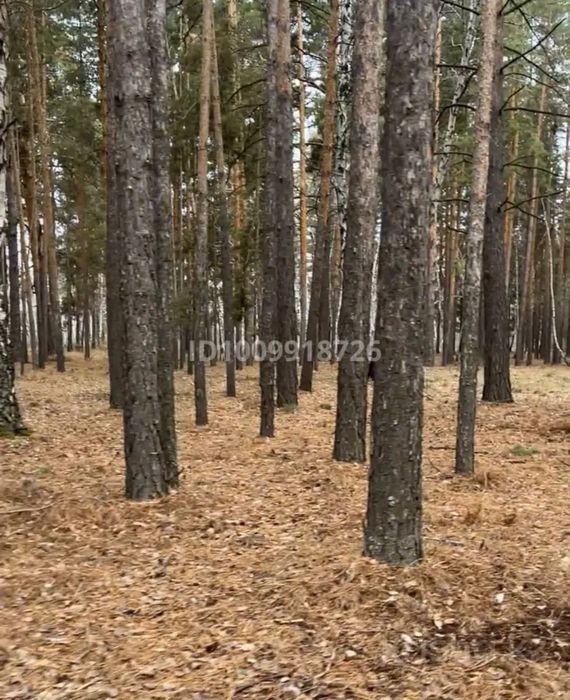 Участок под строительство