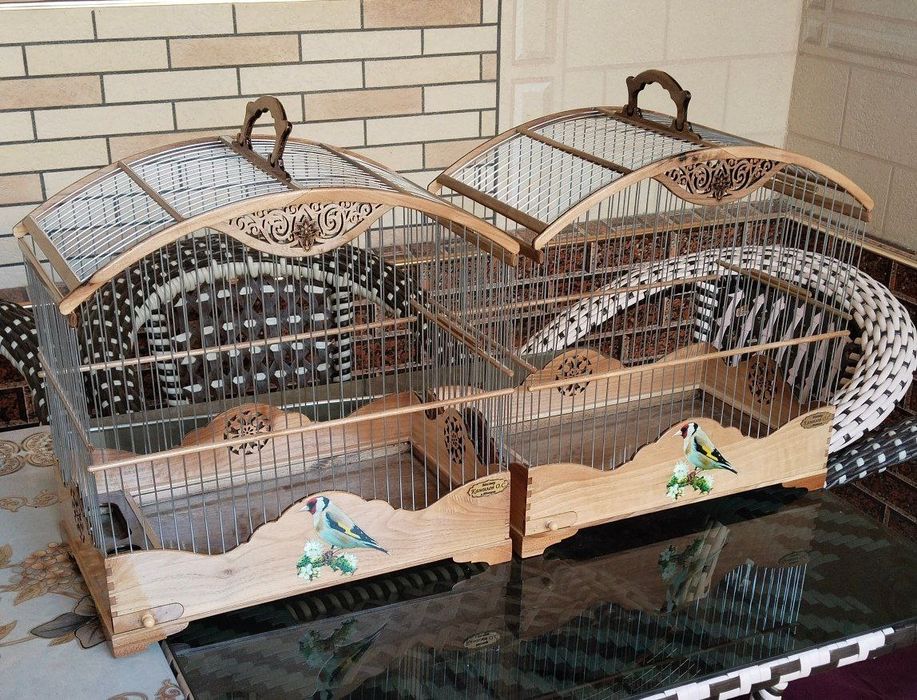 юнгок клеткалар сотилади