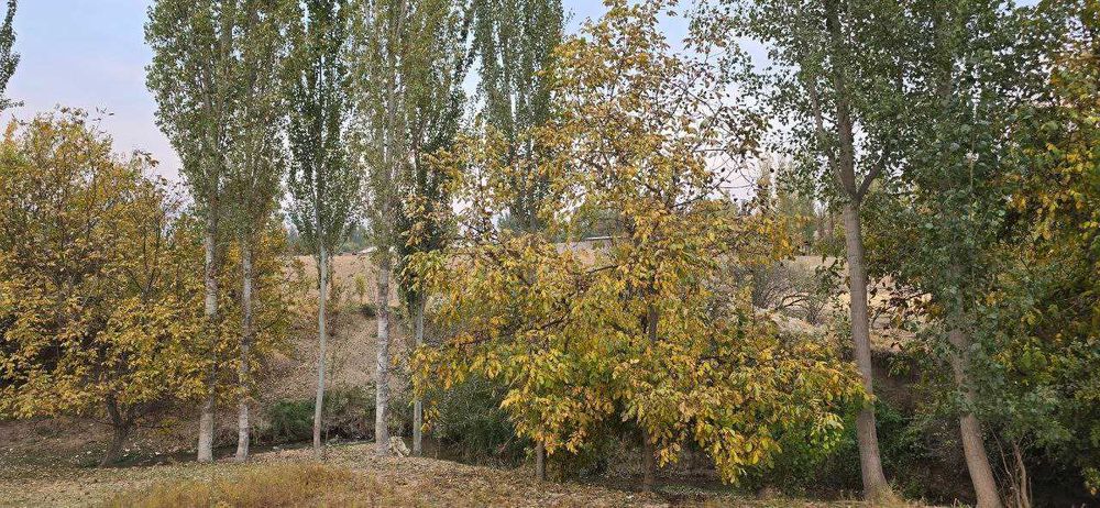 Продам участок 10 соток