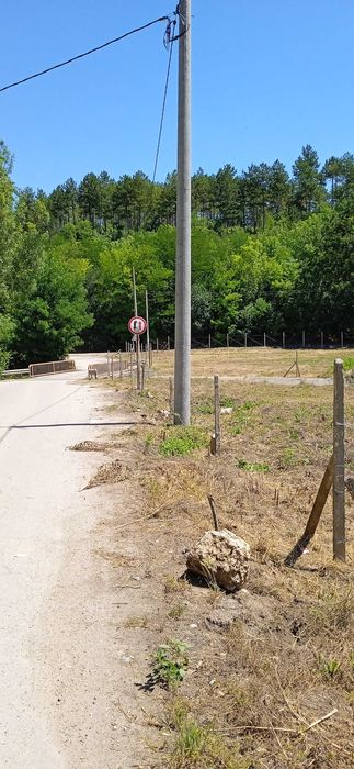 Продава се Парцел в Добрич, м-т Газибаба - 540 кв.м за 24 €/кв.м - Снимка #3