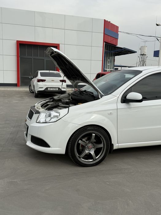 Malibu mator nexia
