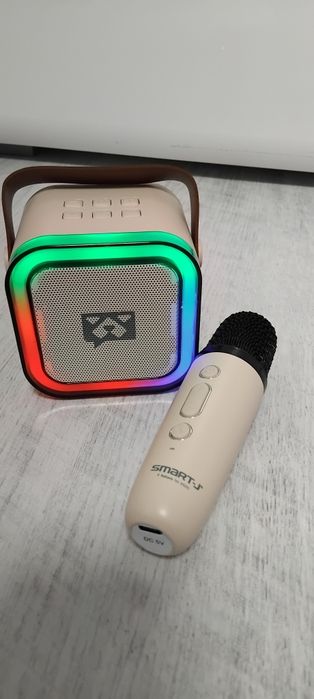 Boxa karaoke cu microfon