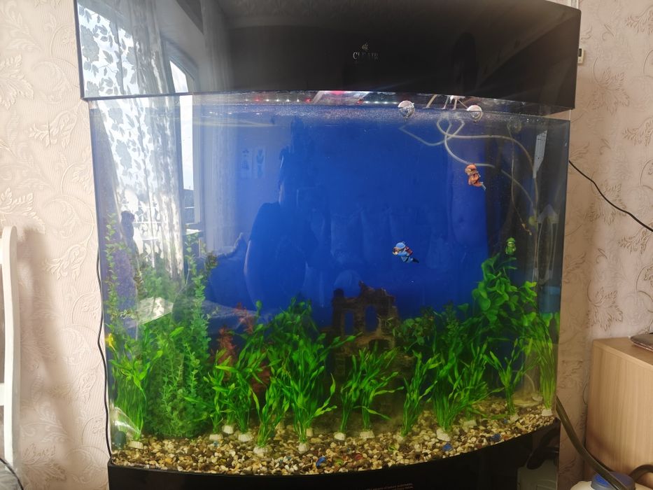 Продам аквариум 250 л.