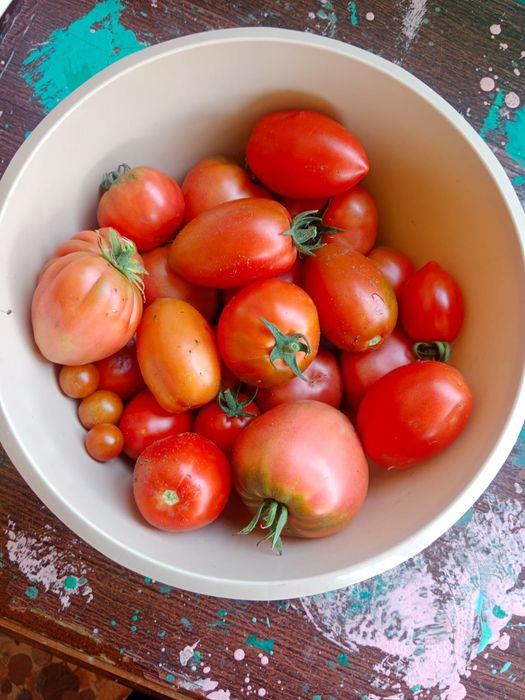 Продам дачу пкст краснопартизанское