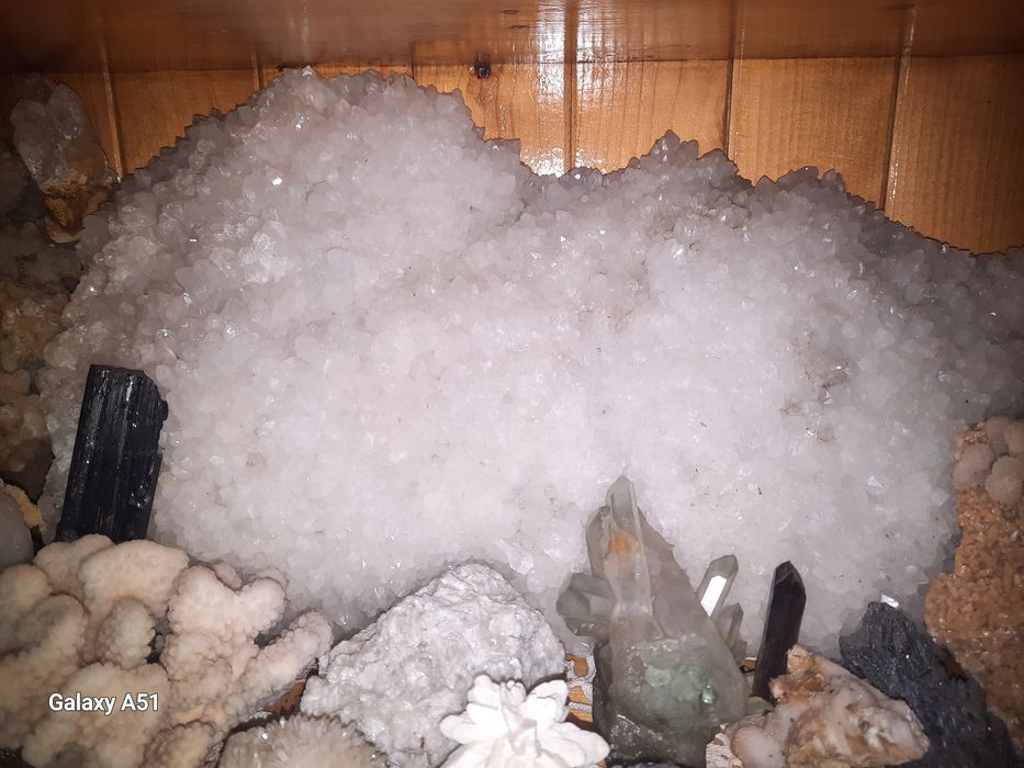 Flori de Mină, mari și mici