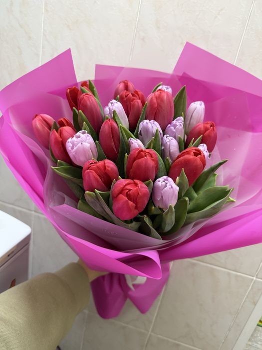 Свежие тюльпаны в идеальном состоянии 25 шт