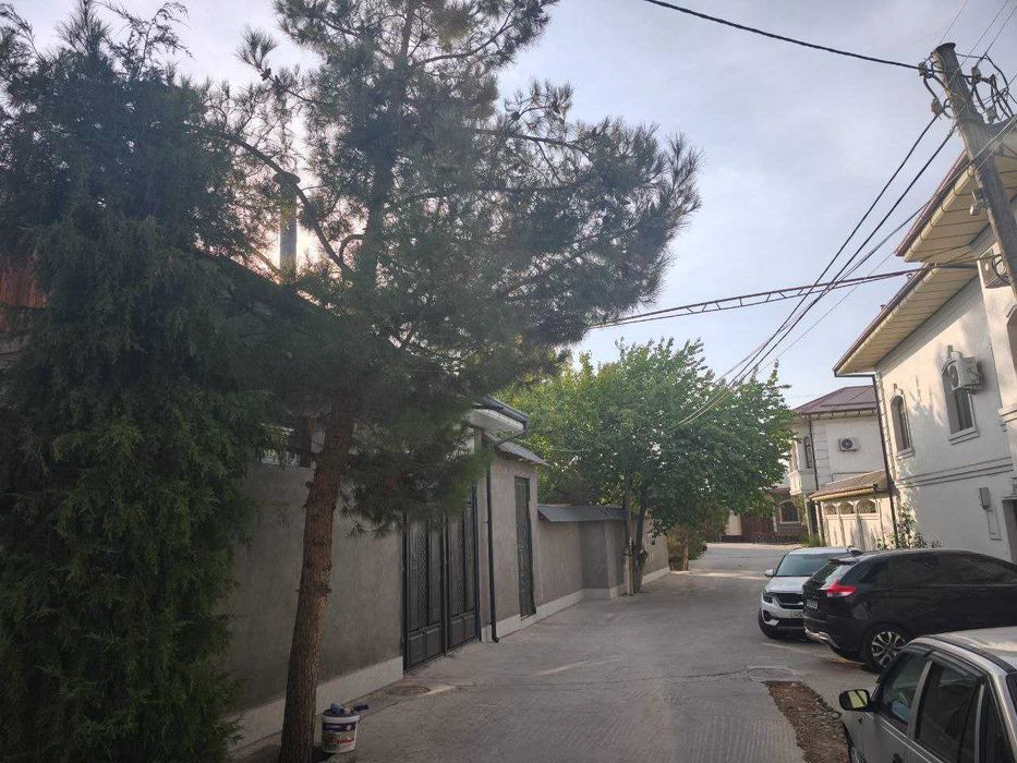 Hovli arenda 4 sotik