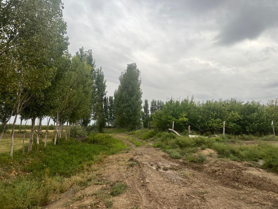 Дайын бизнес шаруа қожалығы сатылады.10 гектар жер , үйі, 2 қорасы т.б