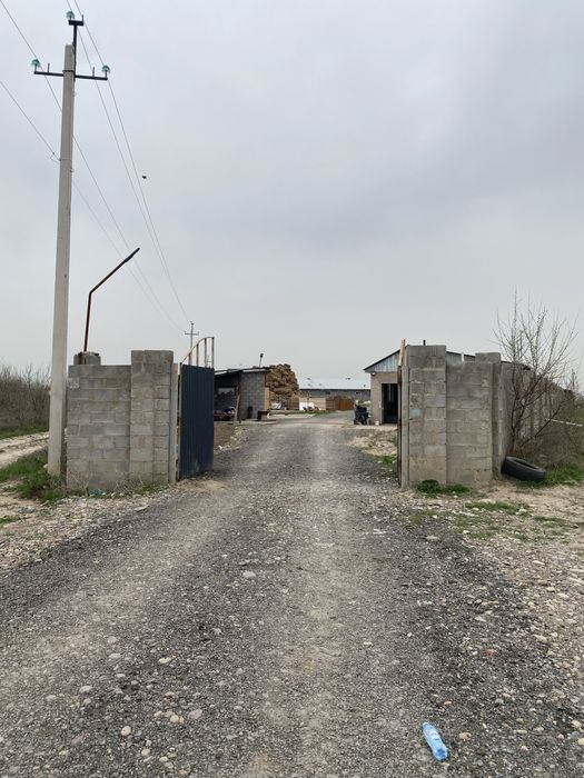 Продам фазенду 50 соток