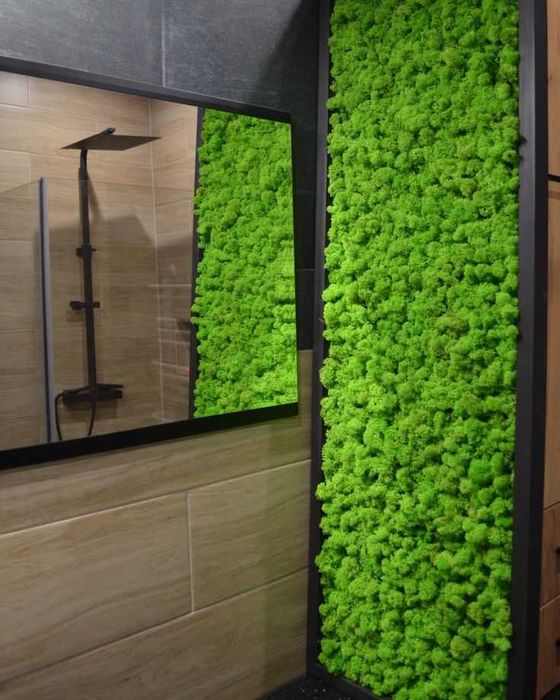 Пана и картини от скандинавски мъх , декорация от мъх , пано зелен мъх , пано с рамки или без рамка по поръчка