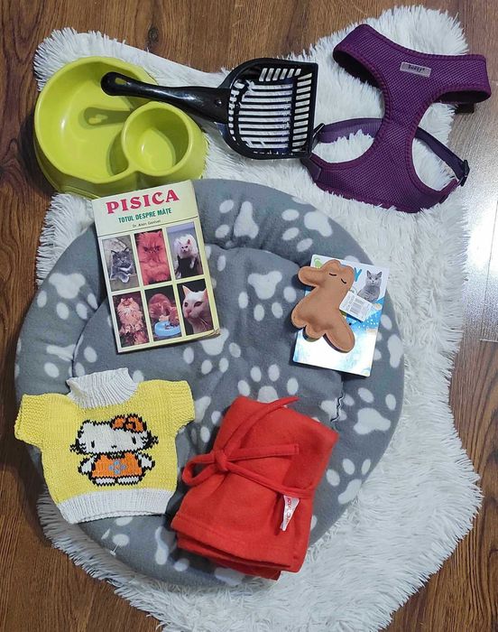 Pat pisica + accesorii