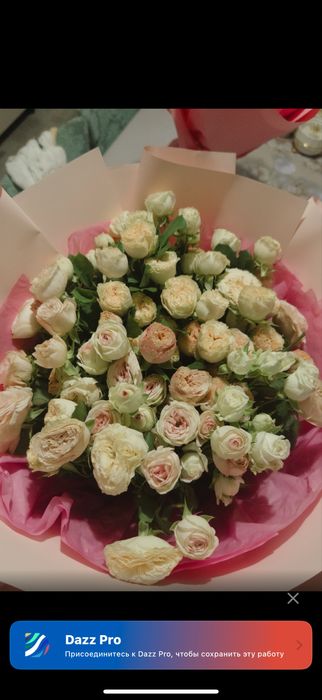 кустовые розыыяы