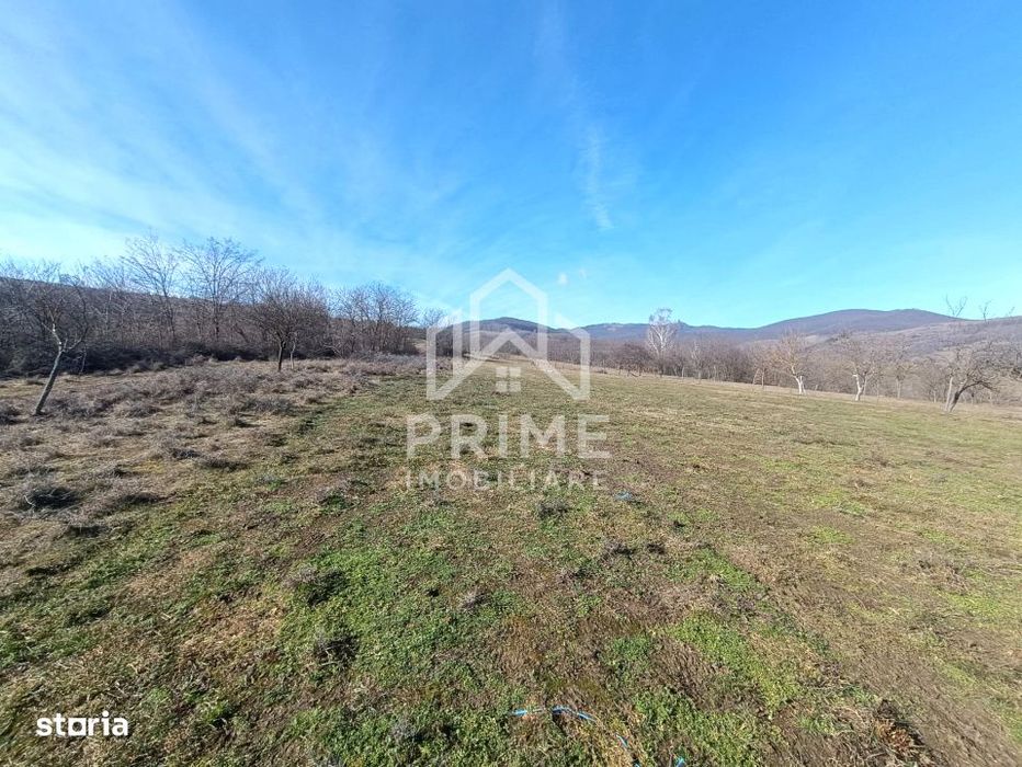 Teren Generos in Paclisa – Intimitate si Natura la un pas de oras