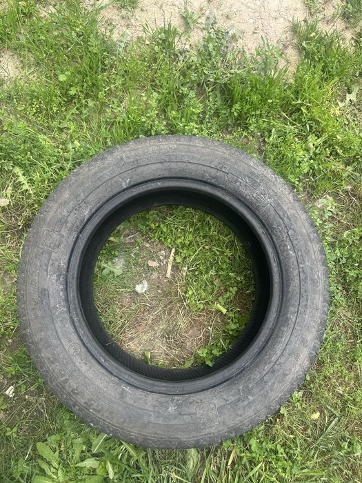 Газель балон буу