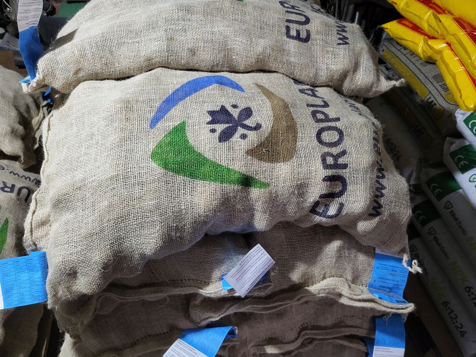 Семе картоф  Клас А 35/55 Марабел