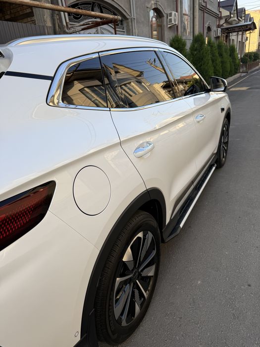 BYD chempion smart 2025