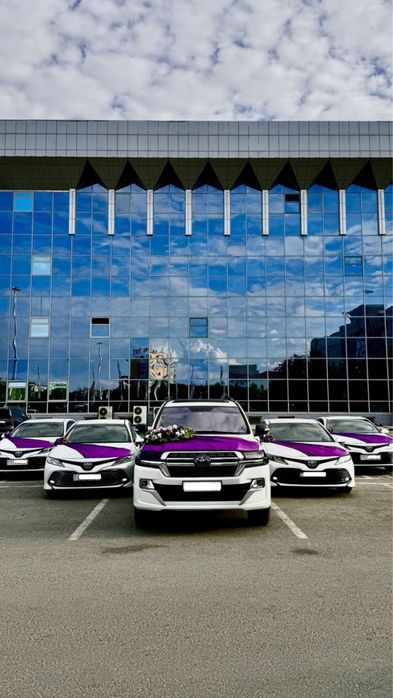 Аренда VIP авто с водителем