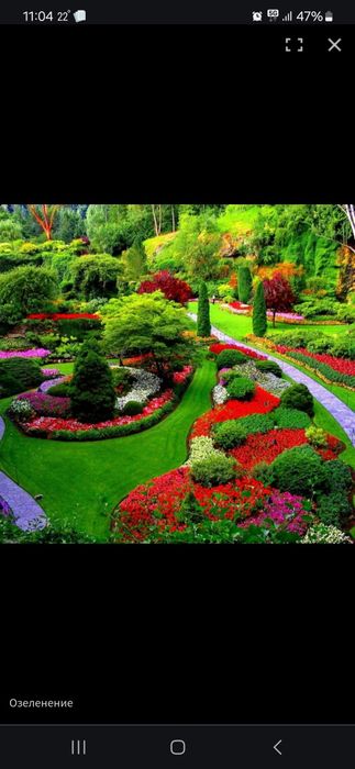 Озеленение дворов,  площадок