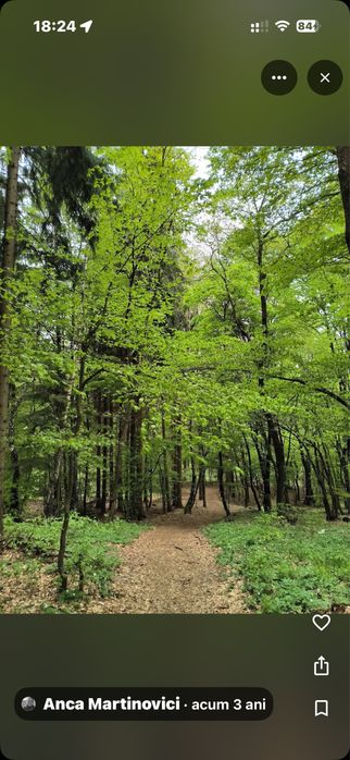 INVESTIȚIE STRATEGICĂ: 4 Hectare Compacte – Sălicea (Zona Vârful Peana), Comuna Ciurila 30€/mp