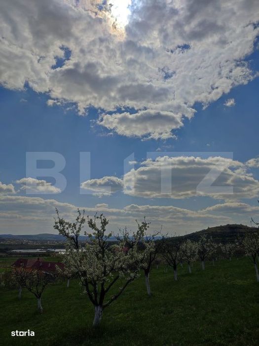 Teren cu livada 120 pomi,imprejmuit 33Ari,intravilan,zona Nasaudului