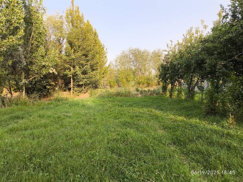 20 sotix yer bandixon , birdamlik mahallasida