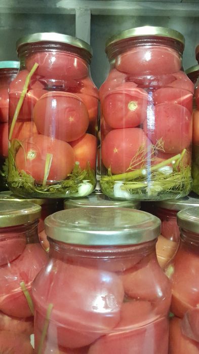 Маринованные помидоры