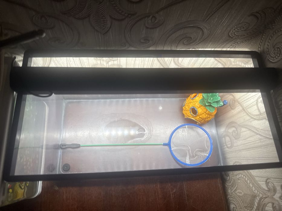 Продется аквариум   с  сачком и домиком