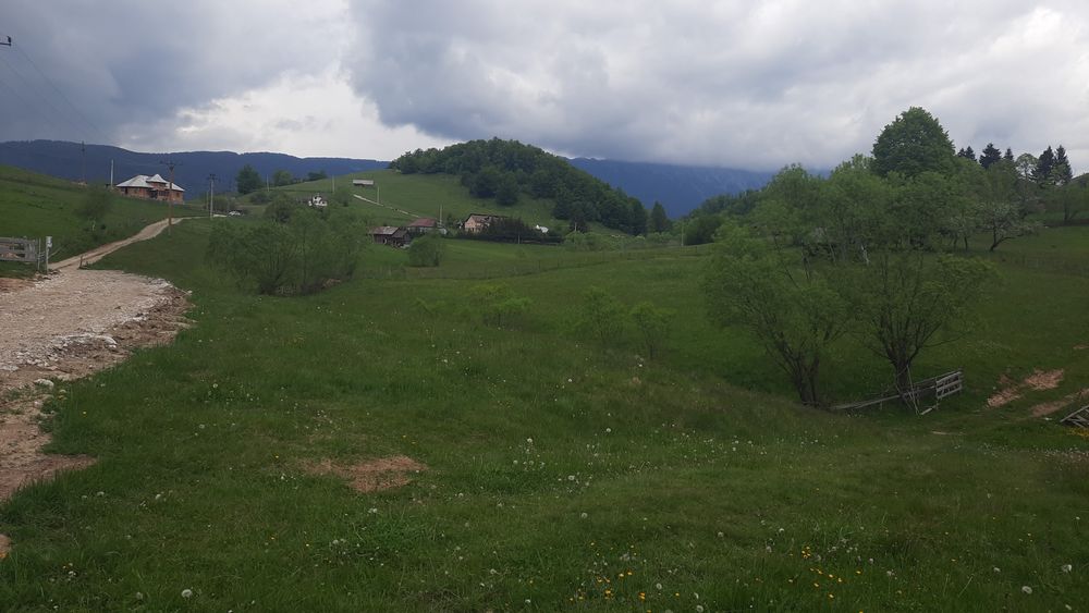 Teren frumos Dambovicioara Valea Urdii