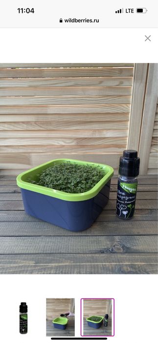 Семена микрозелени