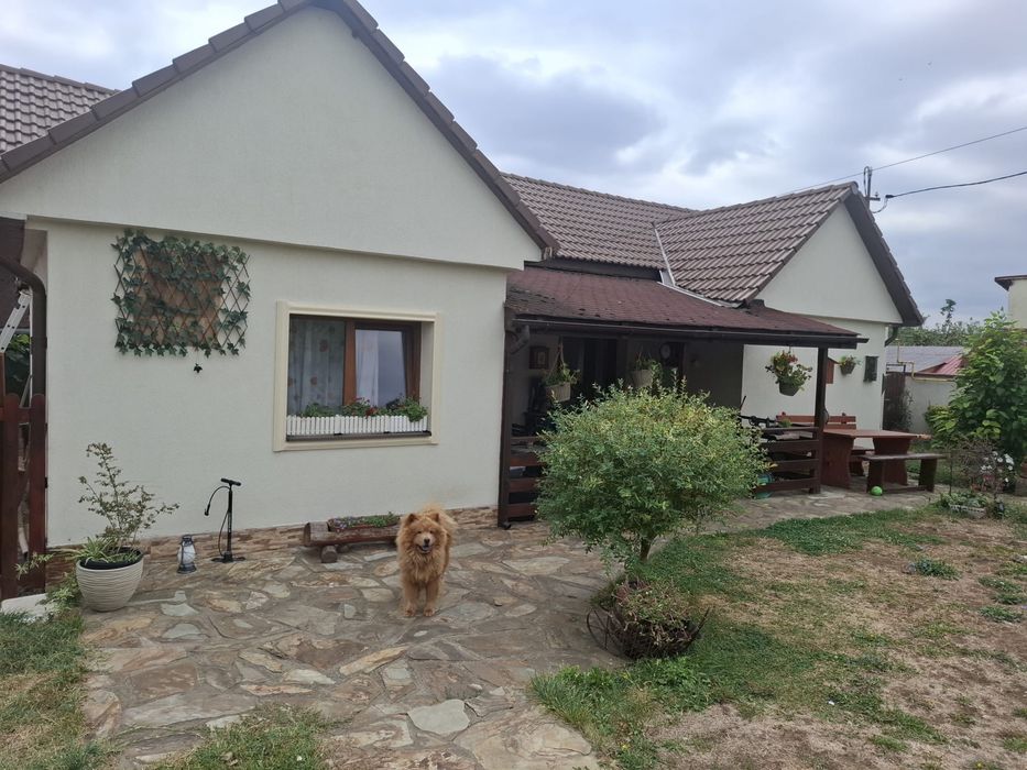 Vand casa in bujac