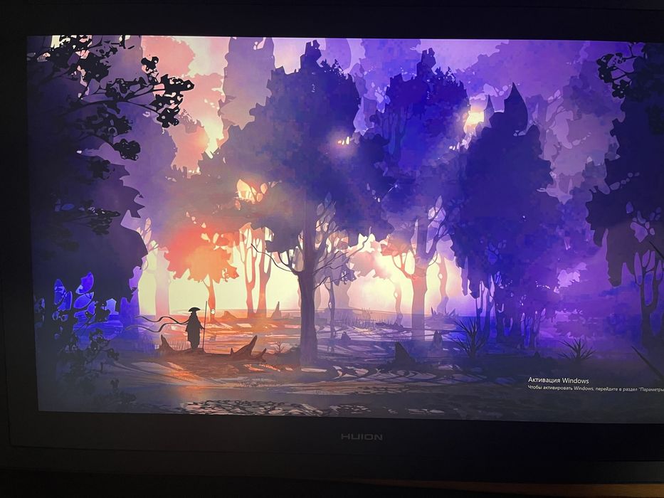 KAMVAS pro 24 display 2.5 k