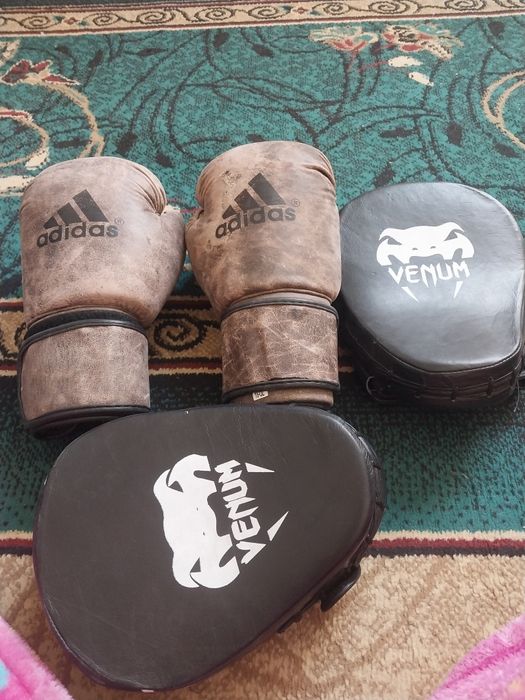 Боксёр першатка сы