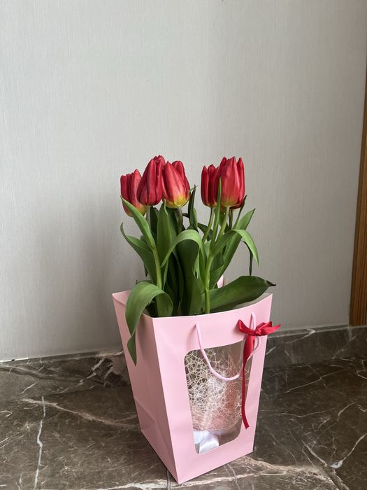 Тюльпаны свежие