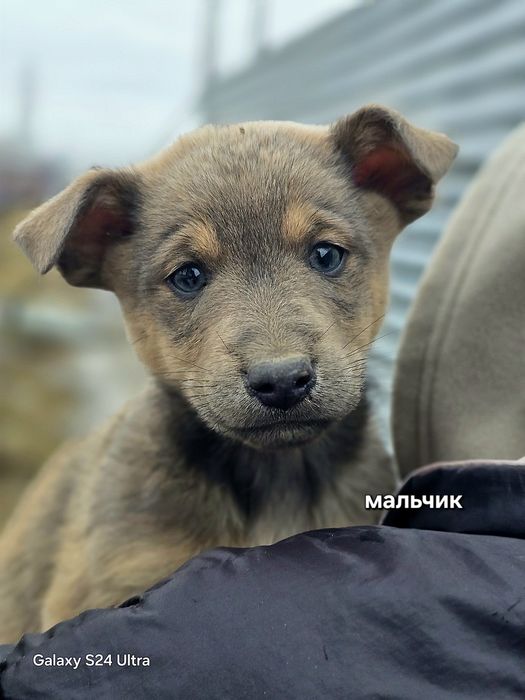 Замечательный пацан