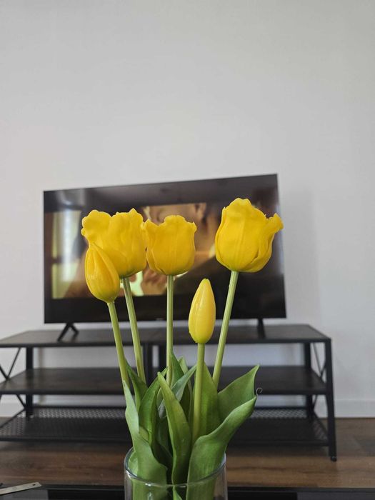 apartament de inchiriat