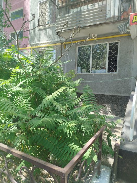 Квартира квпртира