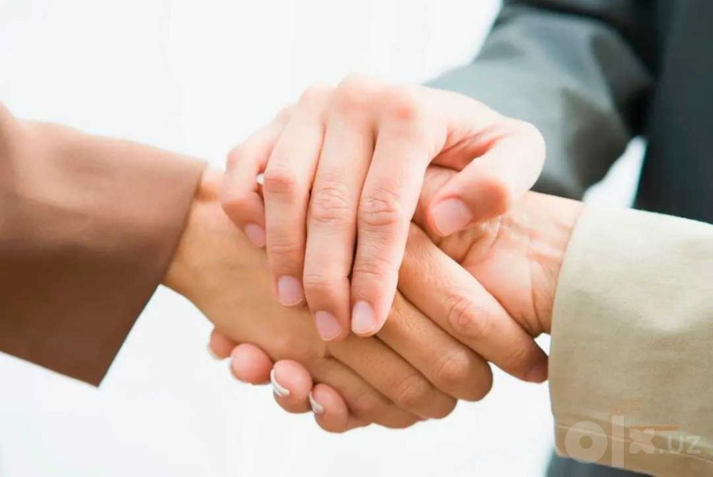 Профессионал медиатор Professional mediator