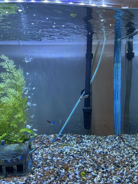 Poveste acvatica de vanzare