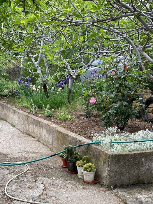 Продава се Къща в Сливен, в.з. Сливен - 55 кв.м за 1182 €/кв.м - Снимка #6