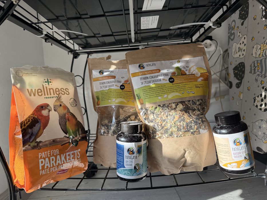 Папагал Малък Александър