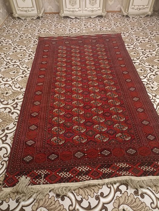 Кавёр Туркменский